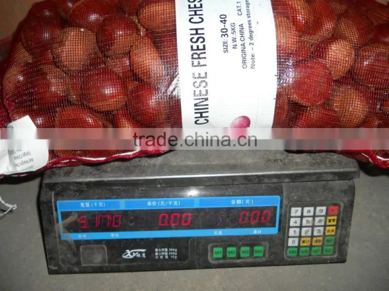 2015 crop Chinese fresh chestnut best quality for export