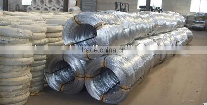 Electro Galvanized Iron Wire