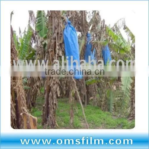 Agri plastic banana bunch covers for banana planting