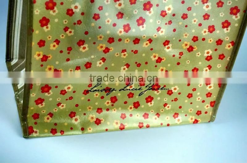 2014 Eco-friendly pp woven bag for shopping