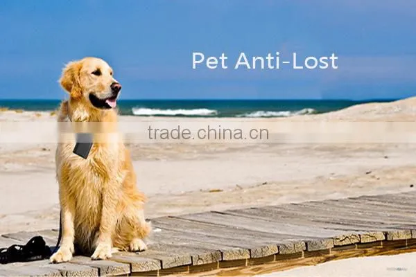 2016 GLEESE Wireless Mini Bluetooth Anti Lost Pet Tracker Locator for iPhone Samsung Xiaomi