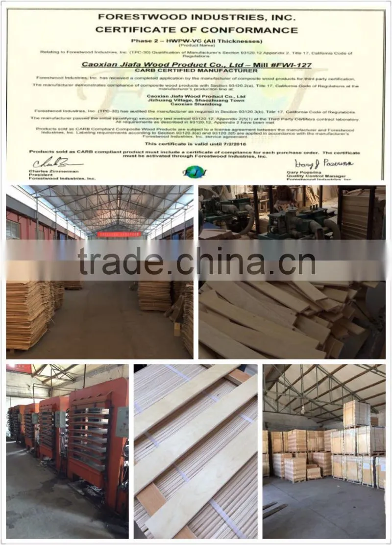 Bed slats LVL Pine / Birch wood logs Hardwood Popular Shandong