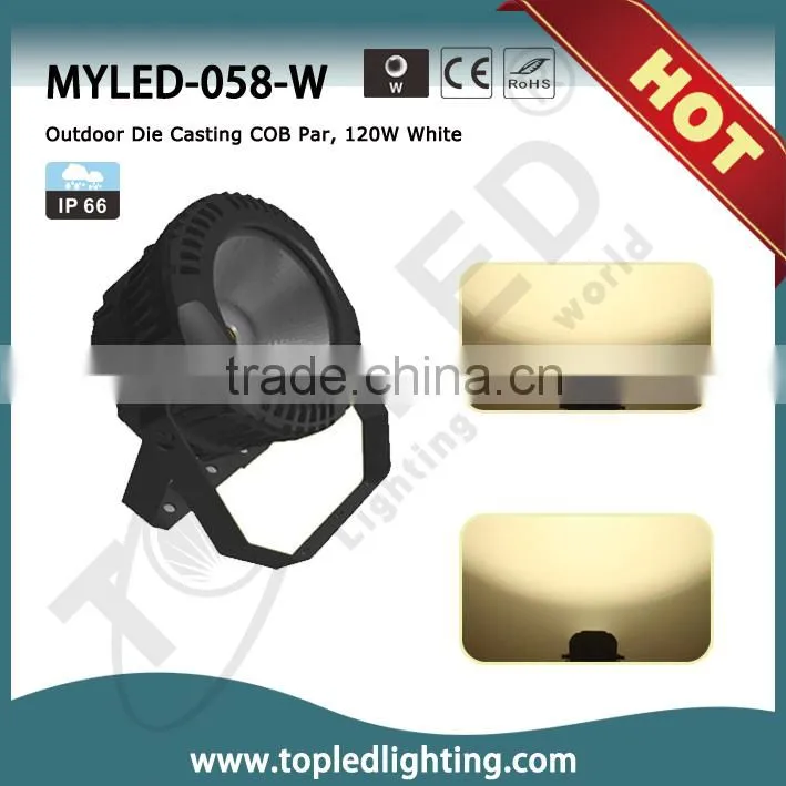 65W COB LED Par 3/5/7CH dmx led par light IP66 outdoor led par can