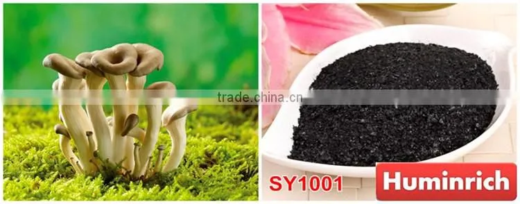 FAQ 19--Application Of Seaweed Extract Fertilizer On Vegetable