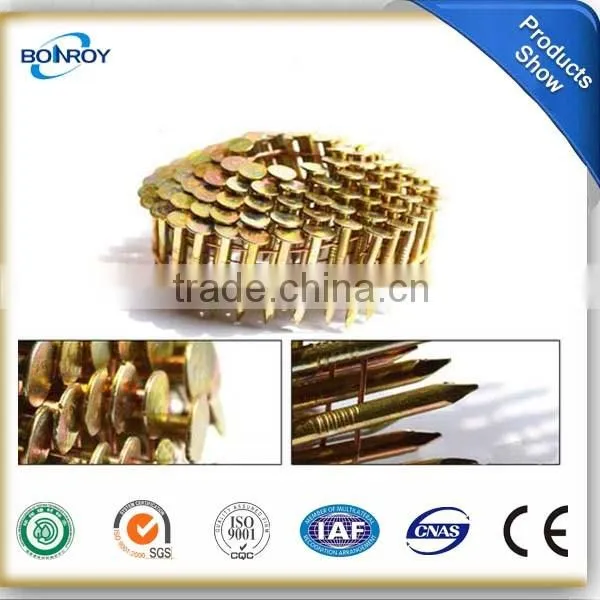 coil nail