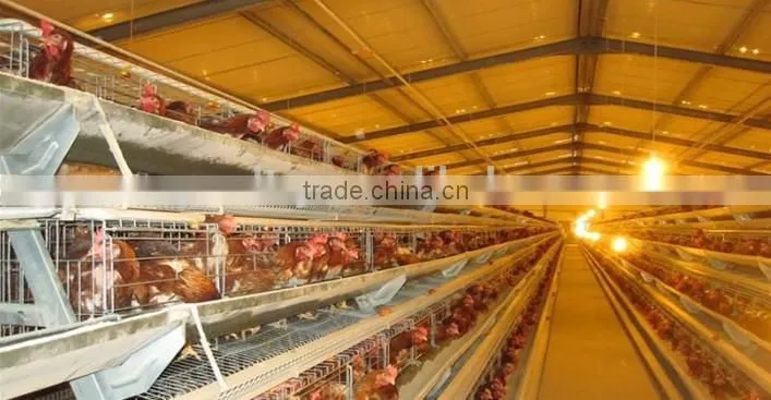 prefabricated poultry farm chicken house