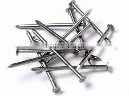 2.5 inch Common Nail