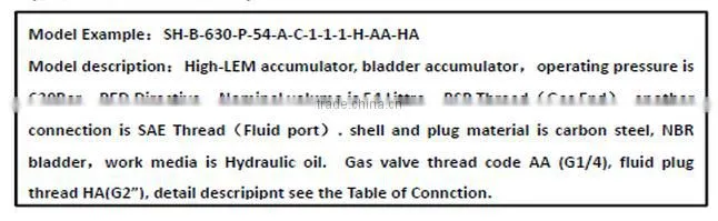 Bladder accumulator hydraulic accumulator