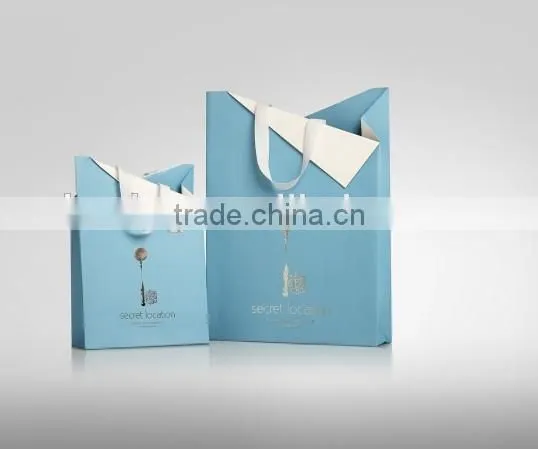 100 % customizable shopping Bags/Paper Bags
