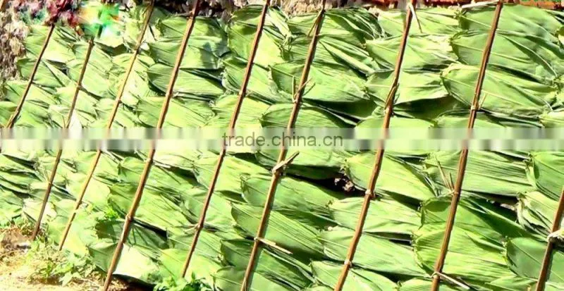 Bamboo leaves