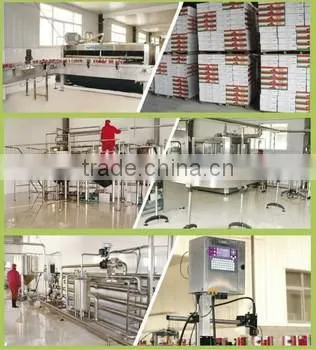 halal certification chicken bouillon cubes