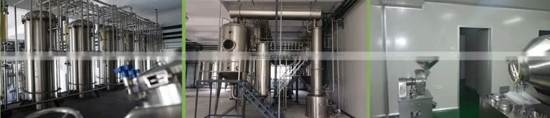 Basil Extract