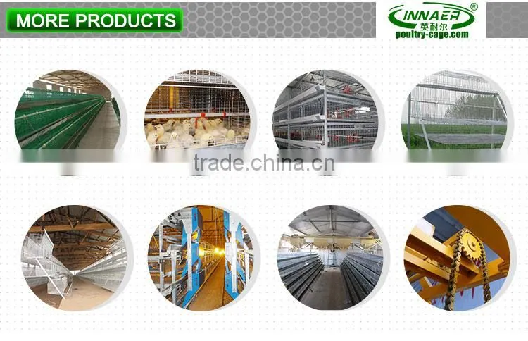 China wholesale Animal Cages for chicken with the feeding system