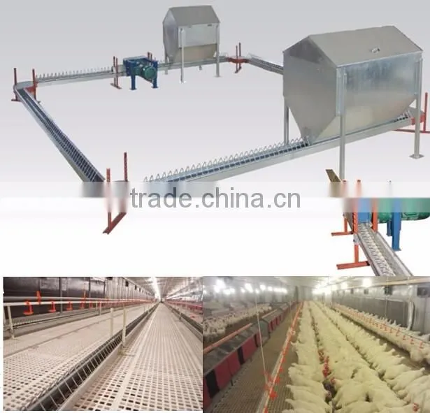 poultry chain feeding system for breeders, poultry pan feeding system for breeders
