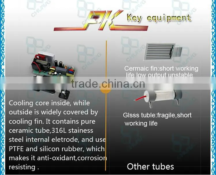 Direct manufactural 3g ceramic ozone sterilizer