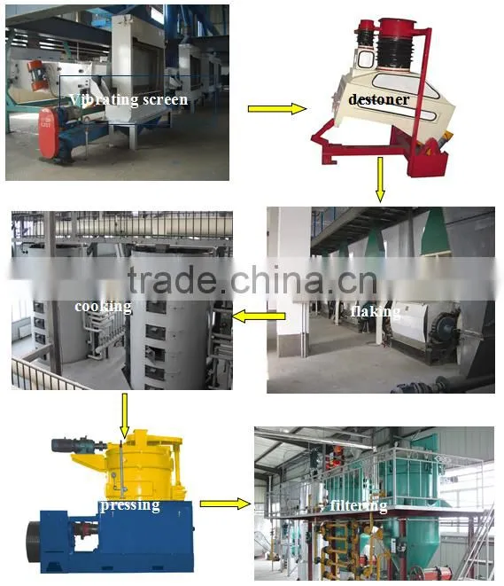Best supplier home sunflower seed oil press machine
