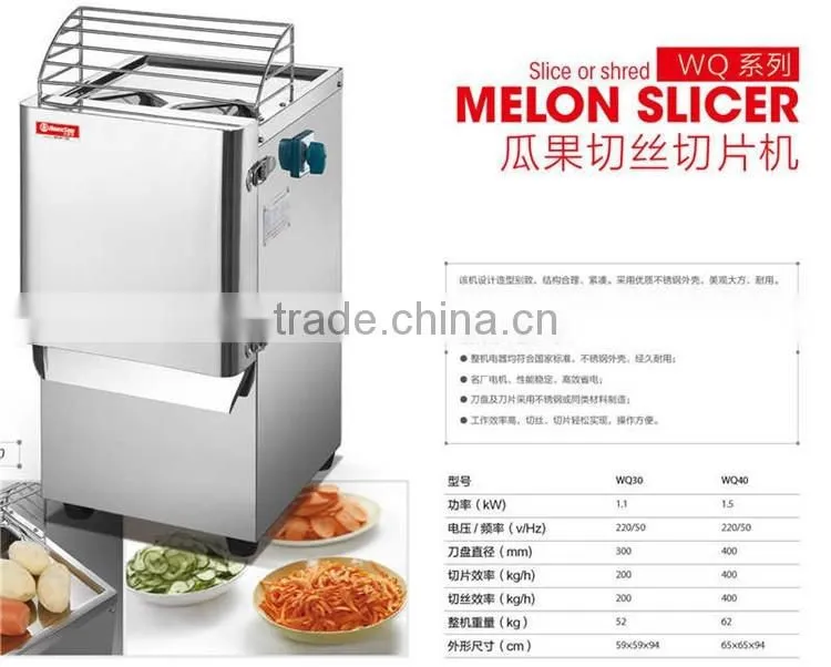 WQ30 Food equipment vegetable slicer spiral