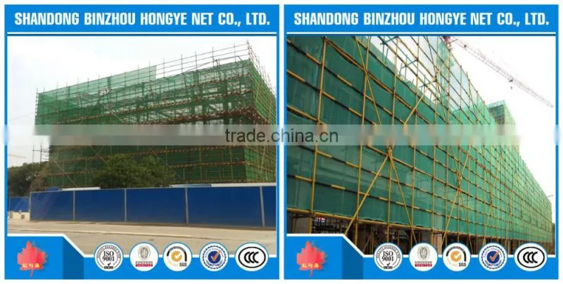 Hot Sale!free sample Warp knitted green safety net