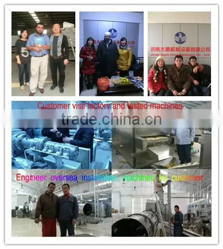 liquid oil fat /slurry /sugar sprayer mixing flavoring seasoning machine