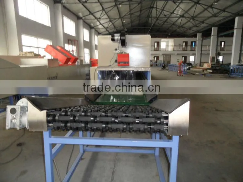 High Quality Fruit & Vegetables Washing Waxing Drying and Sorting Line