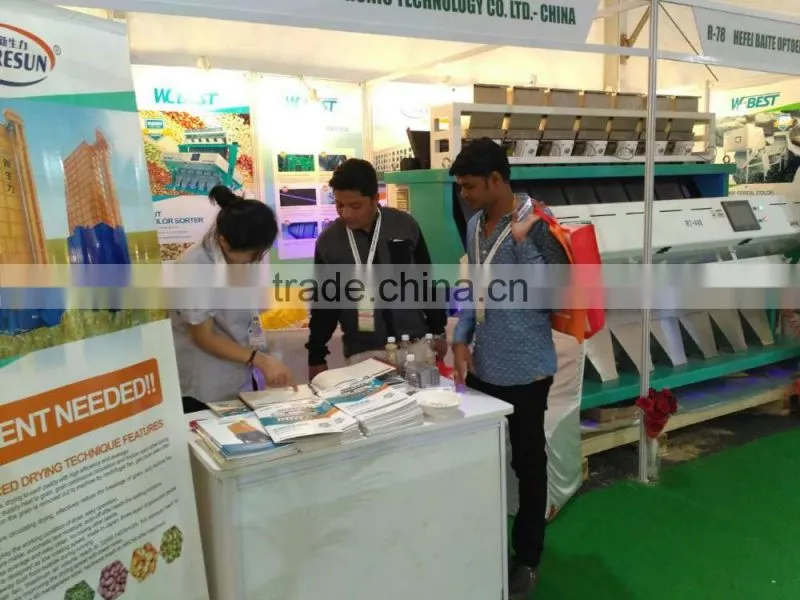 CCD Sunflower Seeds Color Sorter Wolfberry Sorting Machines