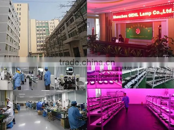 135w Led Grow Light 45x3W with optical lens,best for plants growth and flowering