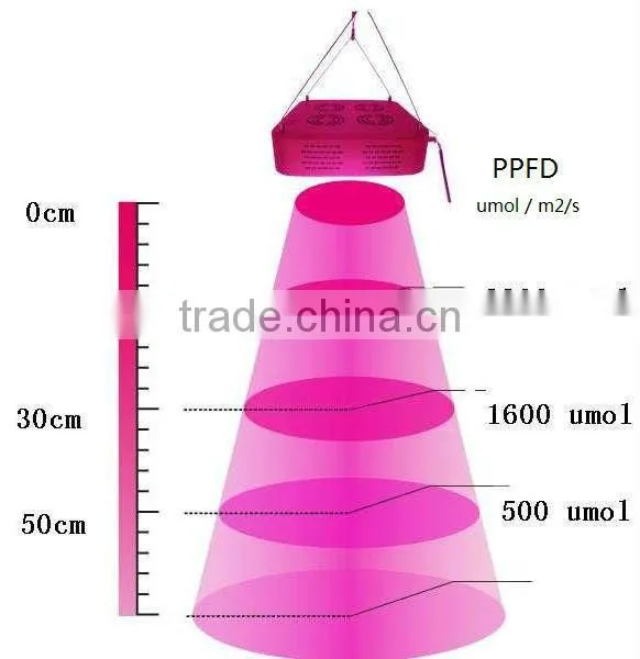 VanQ Newest integrated grow light with good heat dissipation system modular indenpendent desgin and optical lens