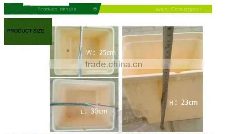 dutch bucket system