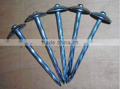 High quality polished umbrella roofing nails in China