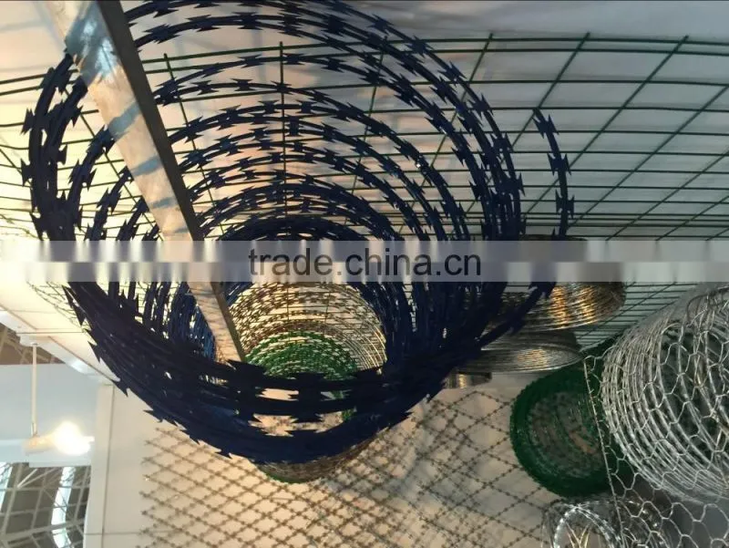 Pakistan salable The purpose of razor barbed wire/razor wire