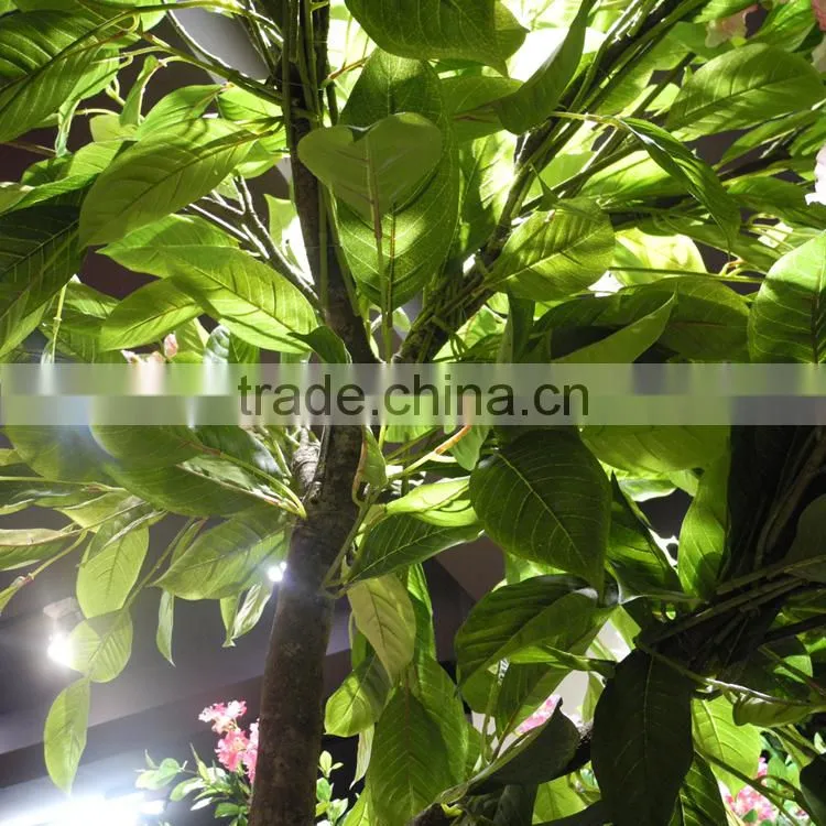 indoor christmas flower Foliage plant