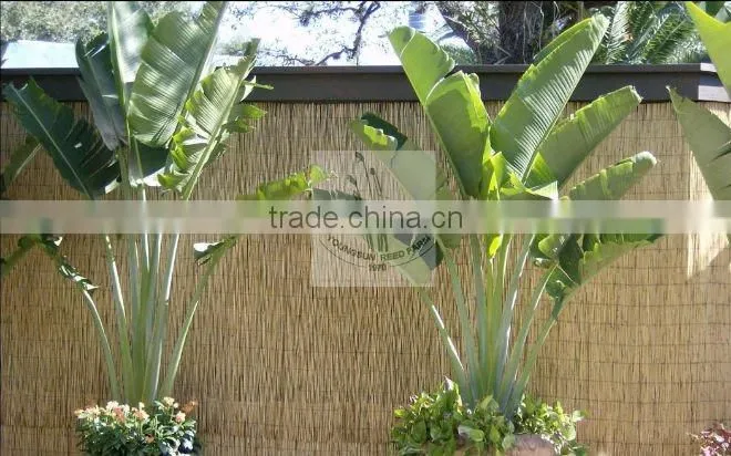 bamboo reed rolled mat