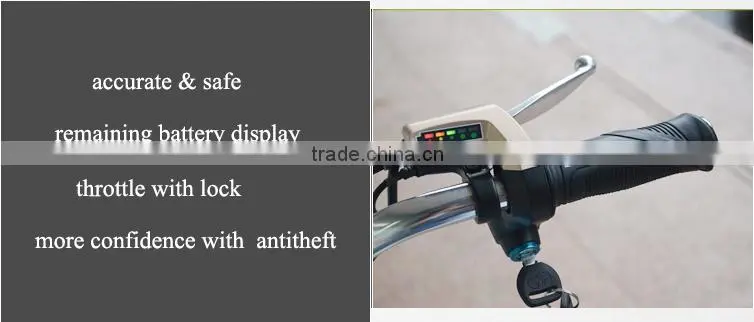 factory direct classical 48v lithium battery electric motor bicycle
