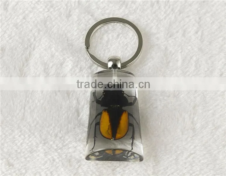 Promotional real black scorpion amber wholesale crystal key chain