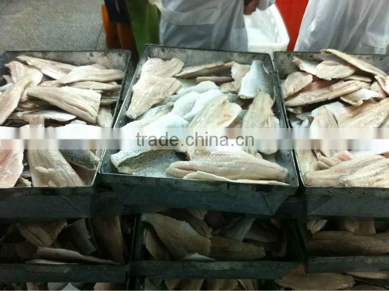 Frozen Spanish Mackerel Fillets