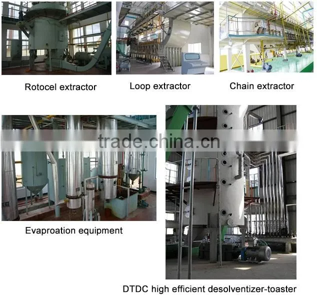 Factoty price sesame seeds oil extraction machine
