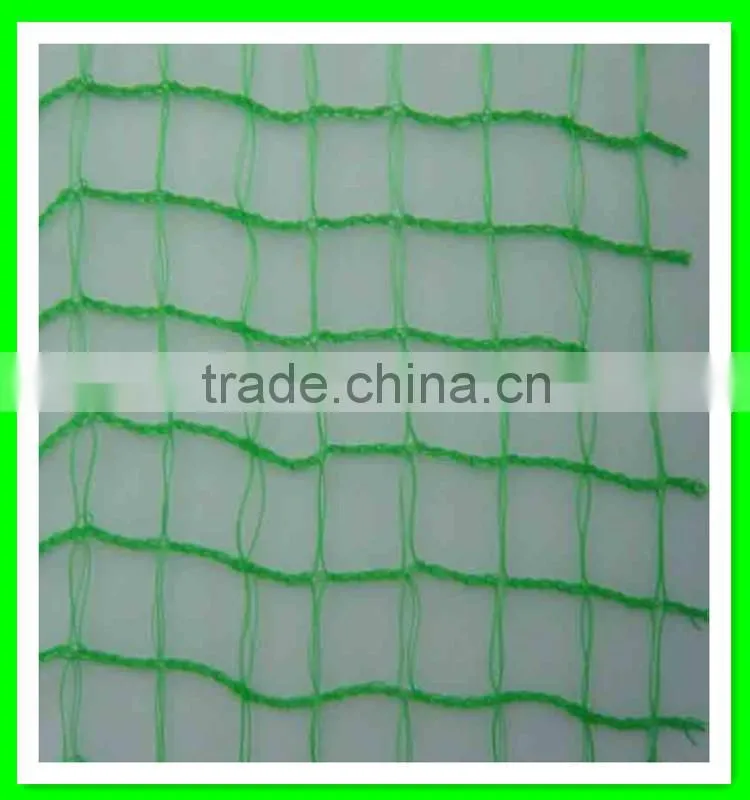 PE plastic anti bird netting/agricultural anti bird net/cheap bird netting for fruit cover