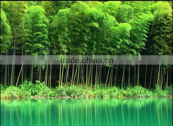 BAMBOO CLEAR ACRYLIC FLOWER SKEWER 4 IN