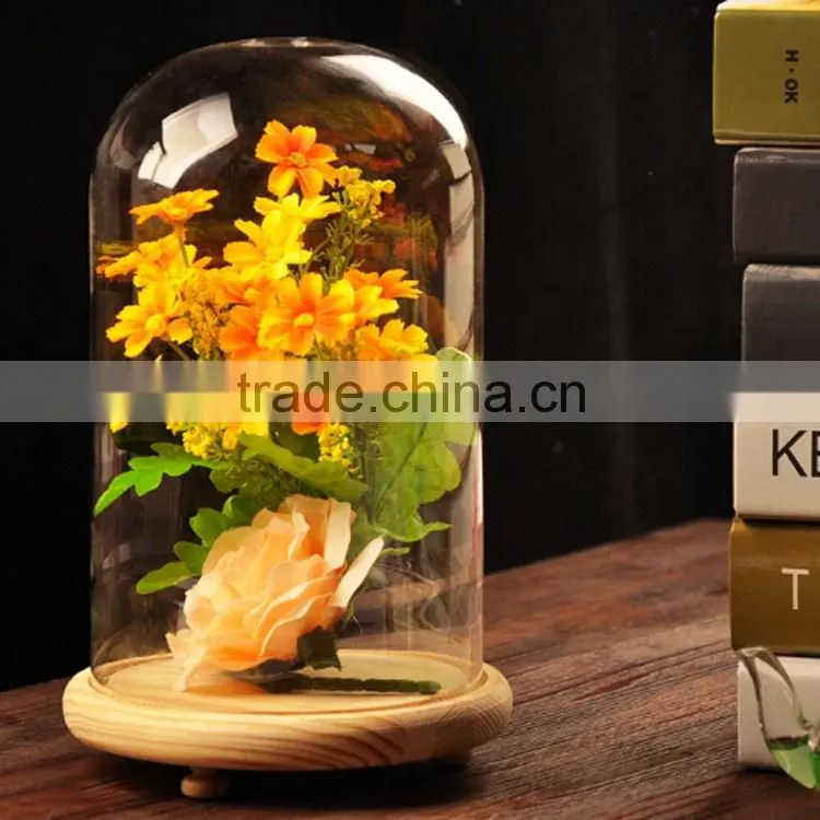 New hot sale mini dome cloches