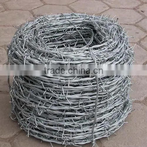 Galvanized Barbed Wire