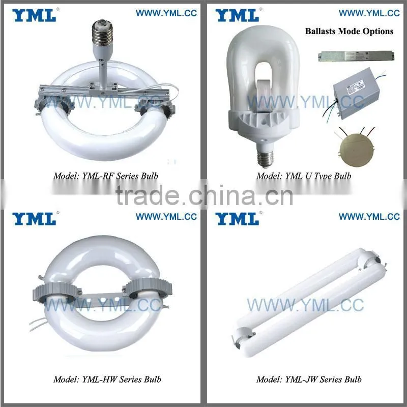 40-600W E39.E40 magnetic light induction lighting led outdoor wall light