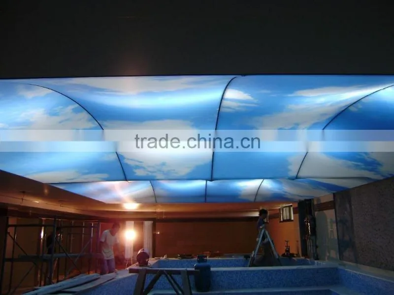 dx5/dx7 head high resolution Stretch ceiling flim printer