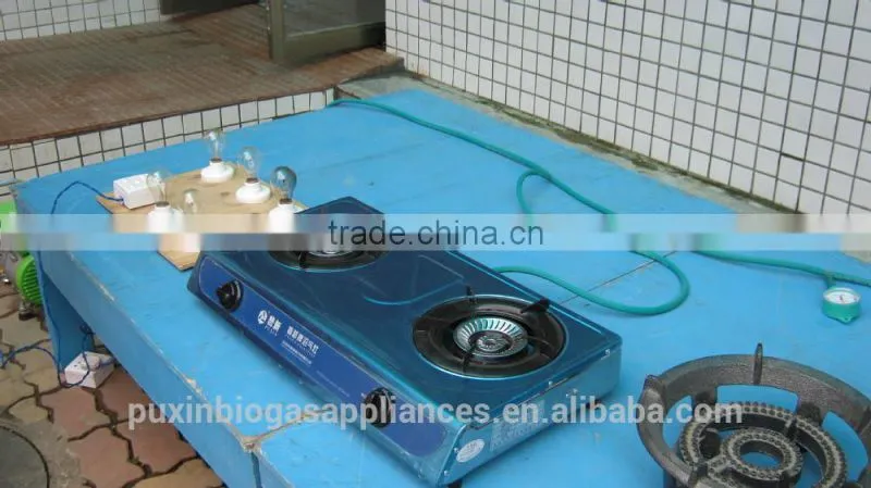 China Puxin Household 4m3 Biogas Anaerobic Digester