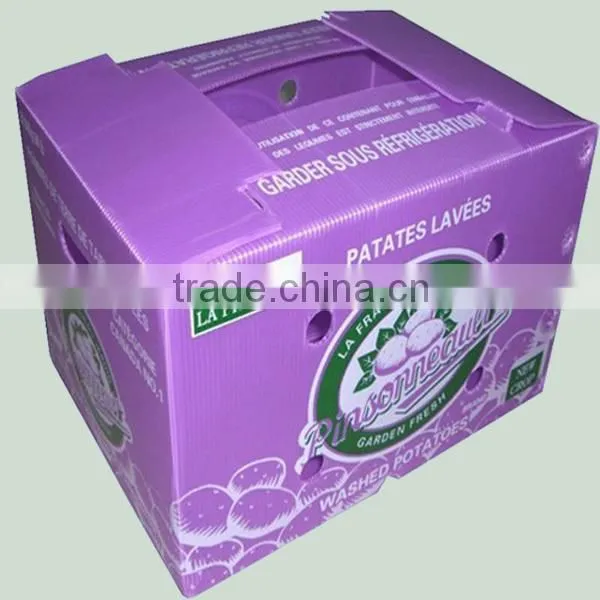 corrugated plastic boxes for packing vegetable and fruit