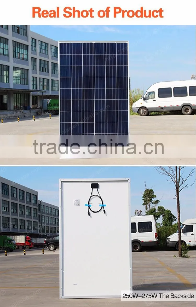 China best pv supplier Moge A grade poly 250w 255w 260w 265w 270w 275w solar panel price list