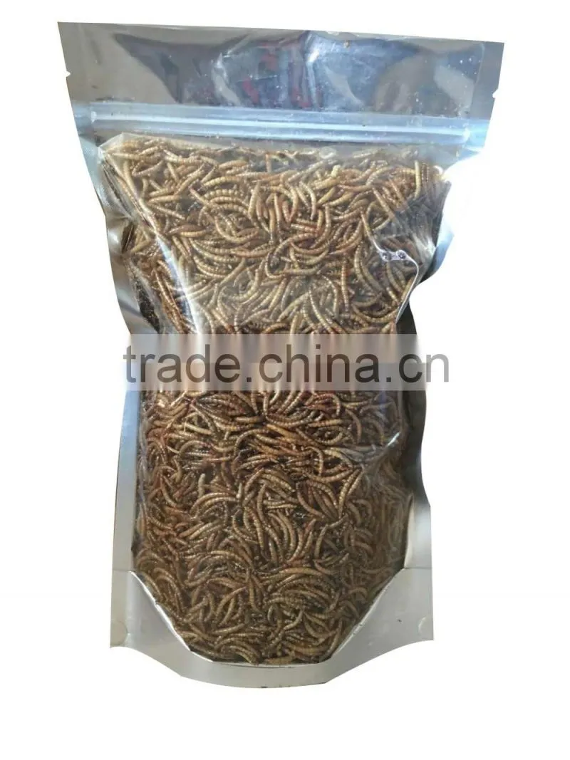 Yellow Worms Dried Mealworms Tenebrio Pet Food