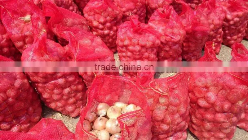 Fresh Onion From Egypt