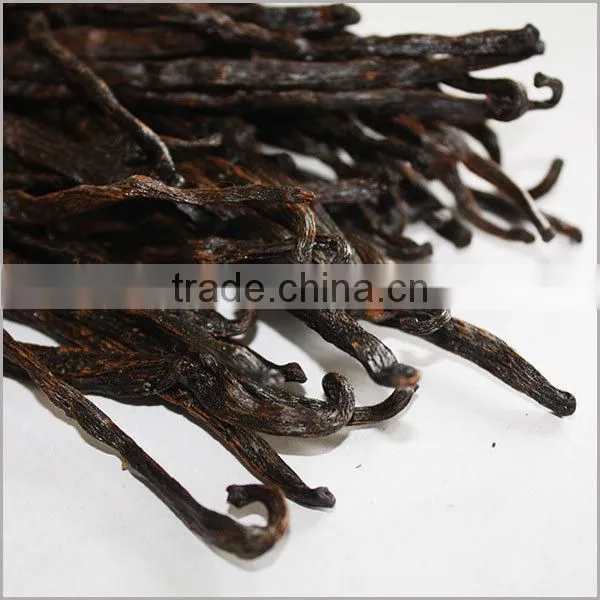 vanilla beans wholesale