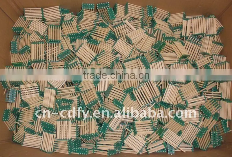 Bamboo And Plastic Bee Queen Cage