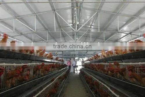 Baby chicken Hen House Cage for Nigeria growing layers